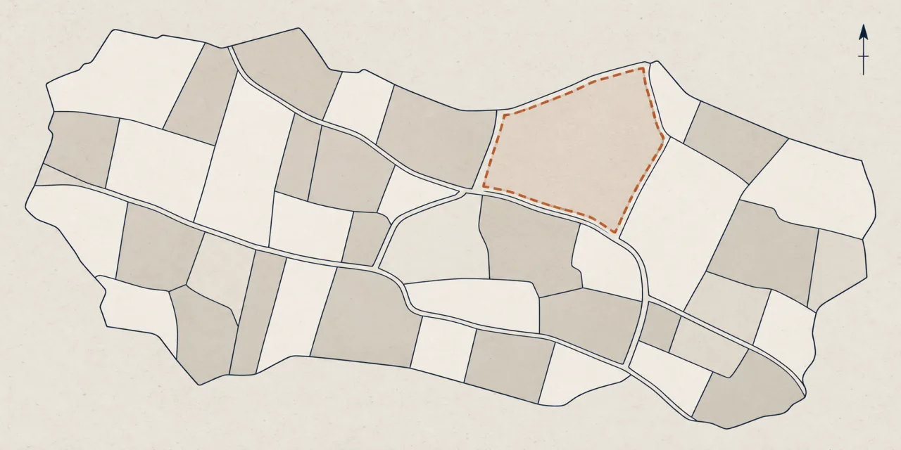 Extrait de plan de zonage : parcelles aux contours irréguliers en aplats clairs, l’une d’elles cernée d’un périmètre en pointillés terre cuite, flèche du nord en haut à droite